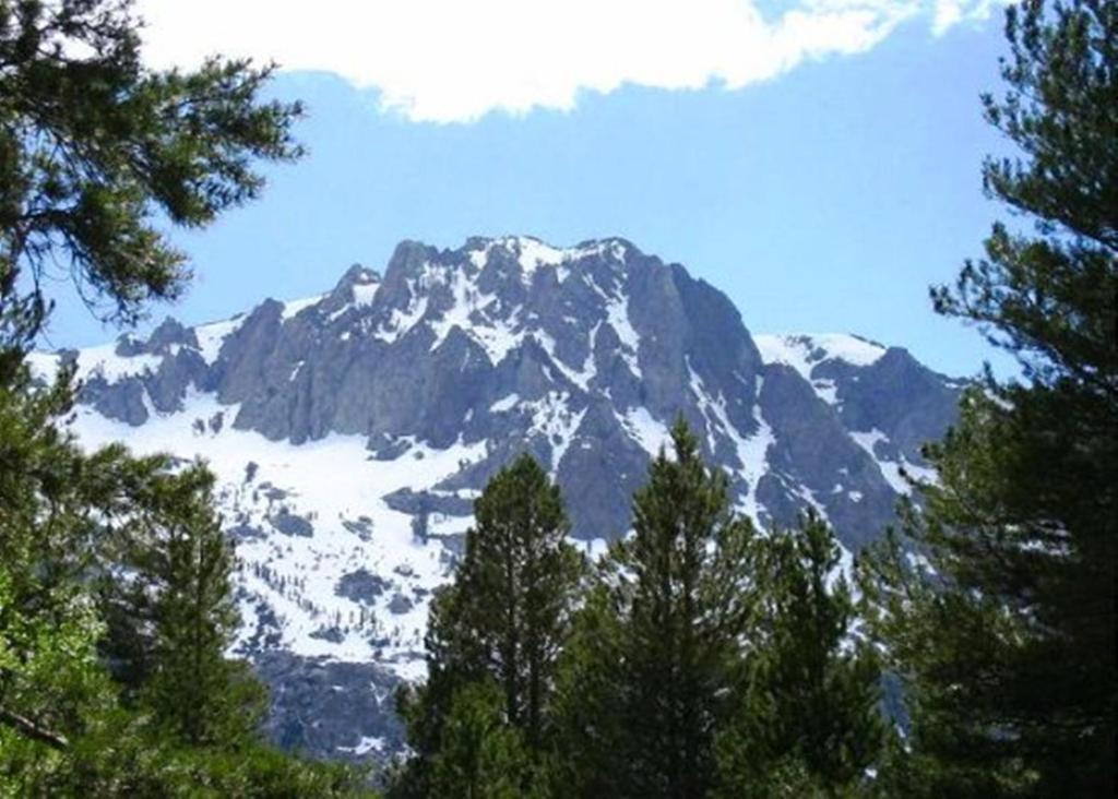 Birch Creek #1 - 1Br/1Ba - Down Canyon June Lake Extérieur photo
