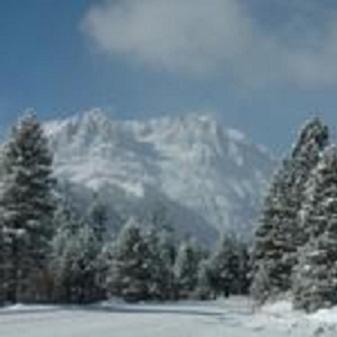 Birch Creek #1 - 1Br/1Ba - Down Canyon June Lake Extérieur photo